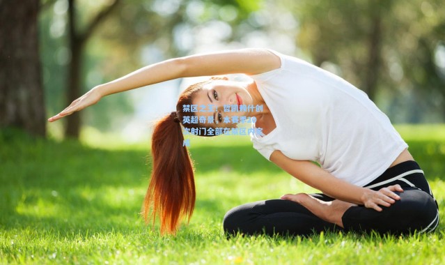 禁区之王！哲凯赖什创英超奇景，本赛季20次射门全部在禁区内完成