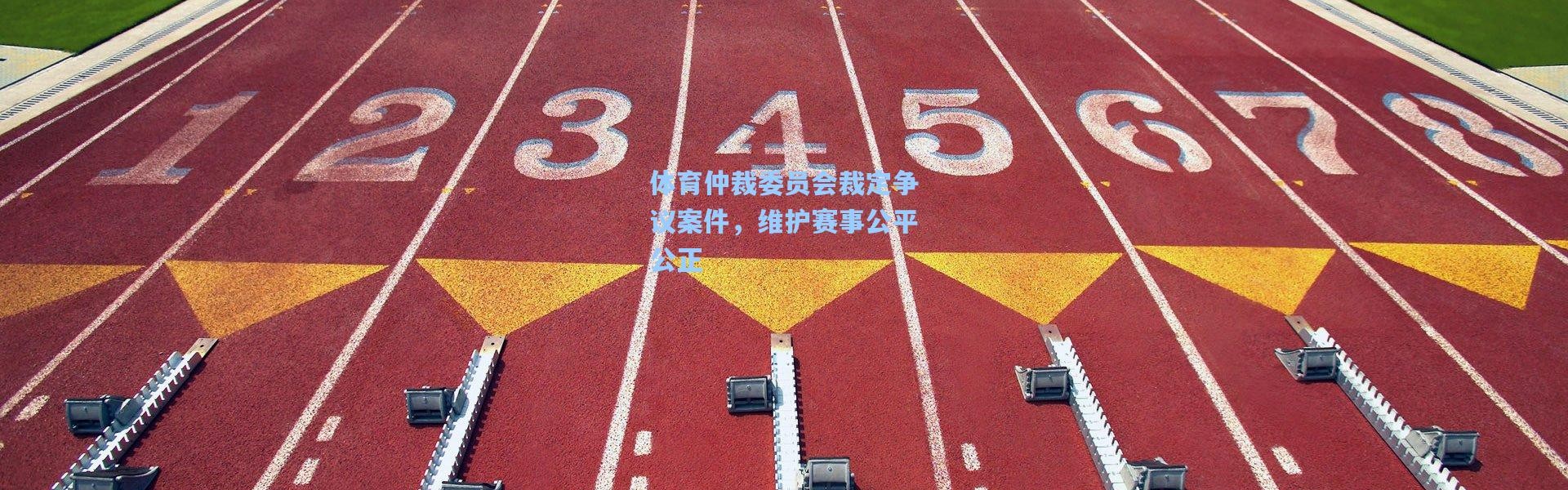 体育仲裁委员会裁定争议案件，维护赛事公平公正