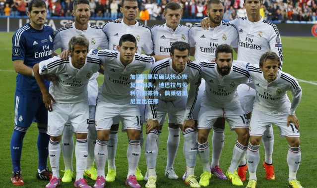 加斯佩里尼确认核心恢复时间表，迪巴拉与贝利仍需等待，佩莱格里尼复出在即